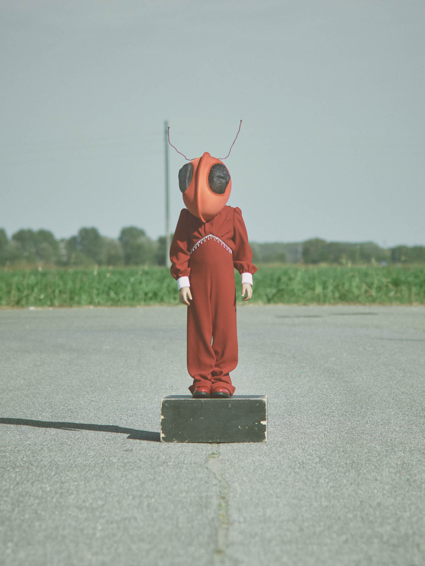 Style Piccoli editorial by Federico Leone - Image 01