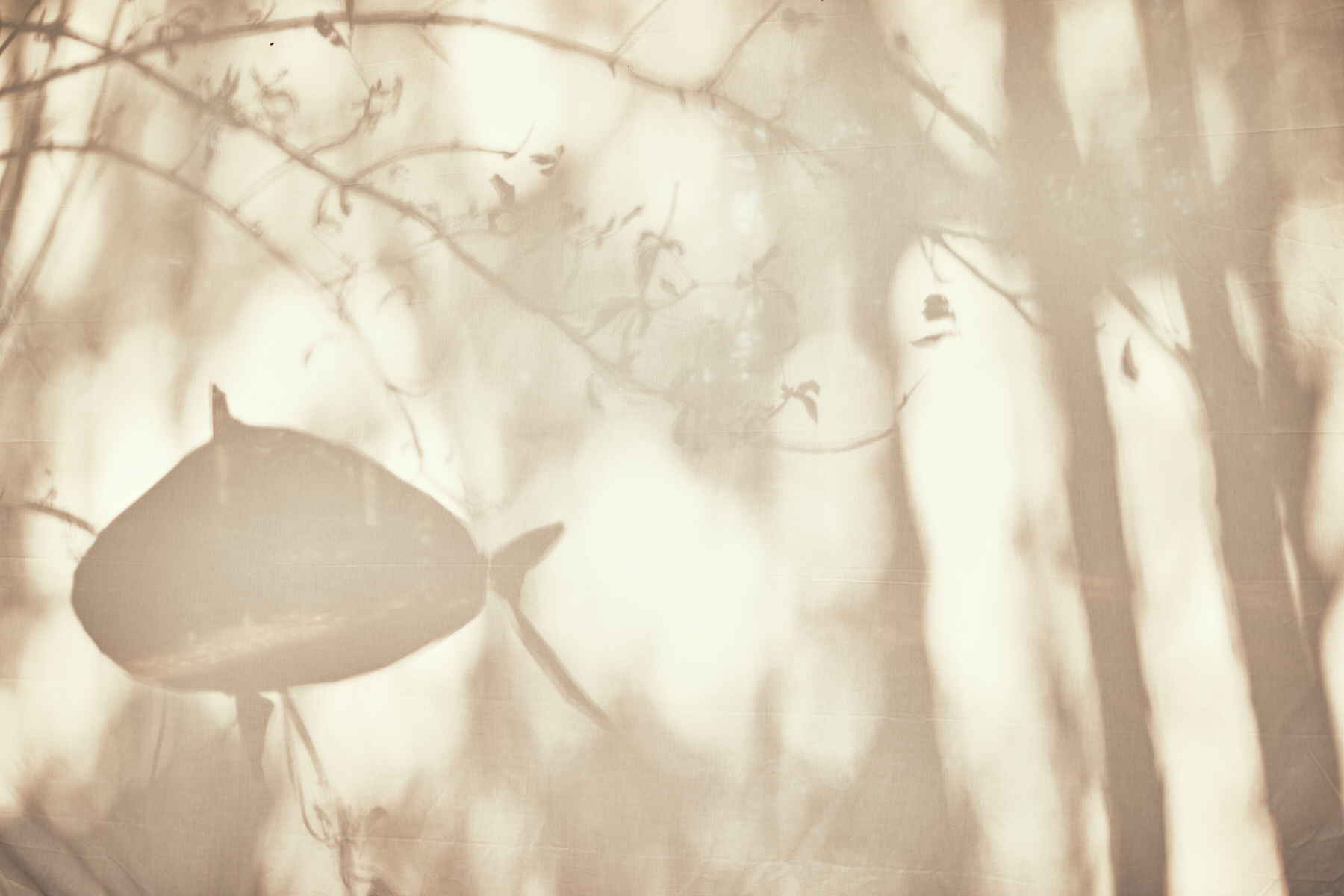 COLLEZIONI — Collezioni Big Fish - Image 16