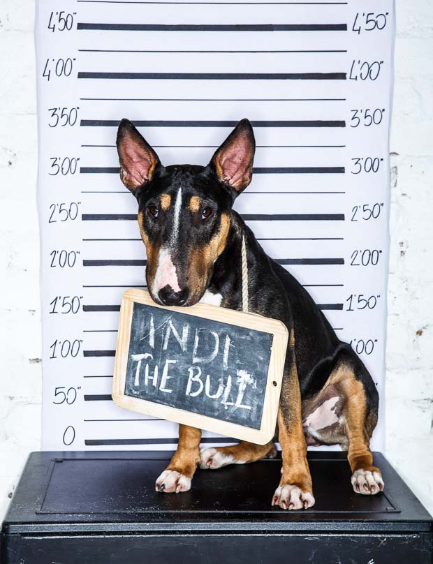 COLLEZIONI — Collezioni03Baby Small Time Crooks - Image 10