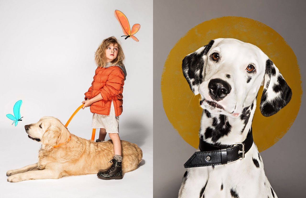 Magazine — Gioia Vita Da Cani - Image 06