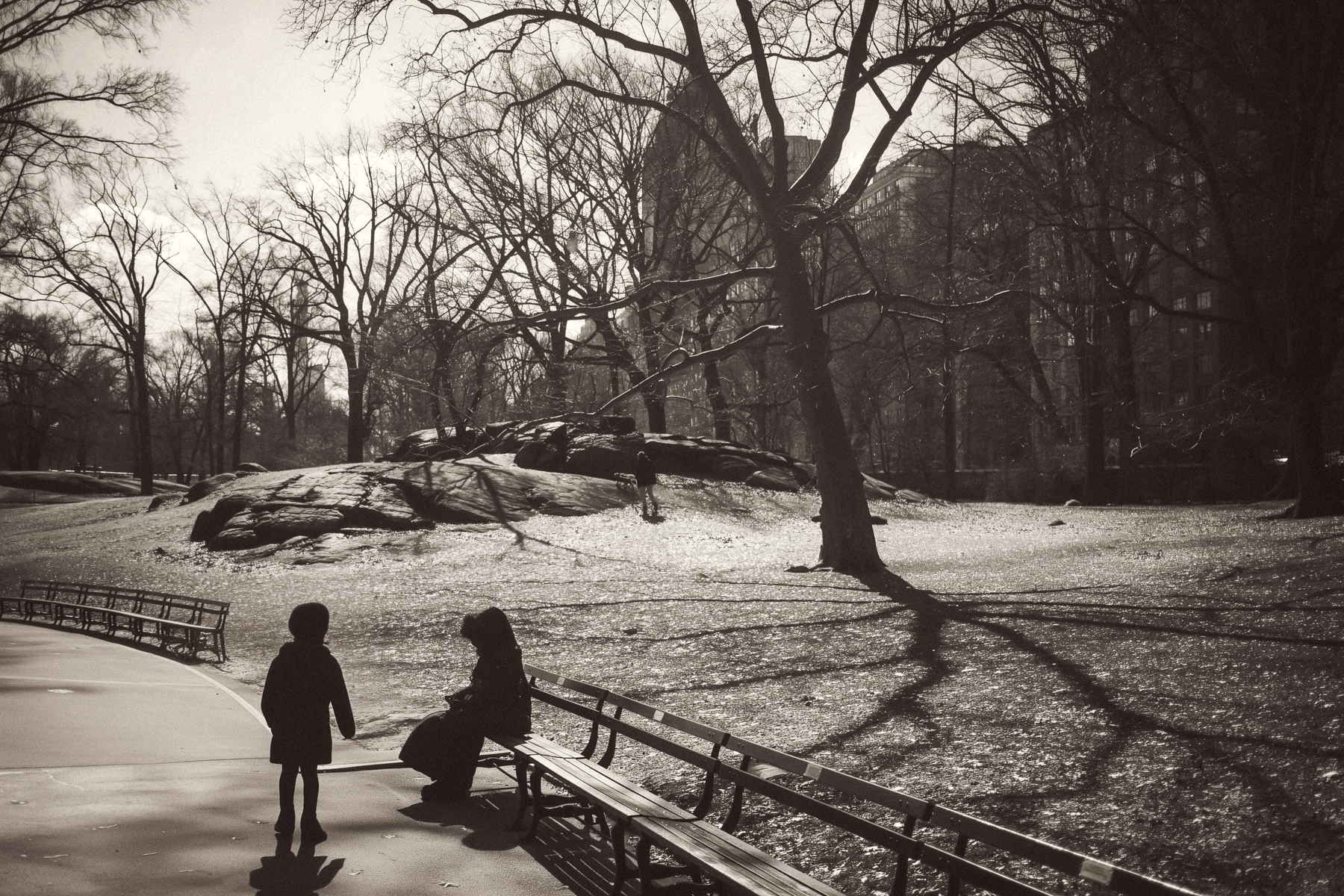 Travelling in NYC, by Federico Leone 07