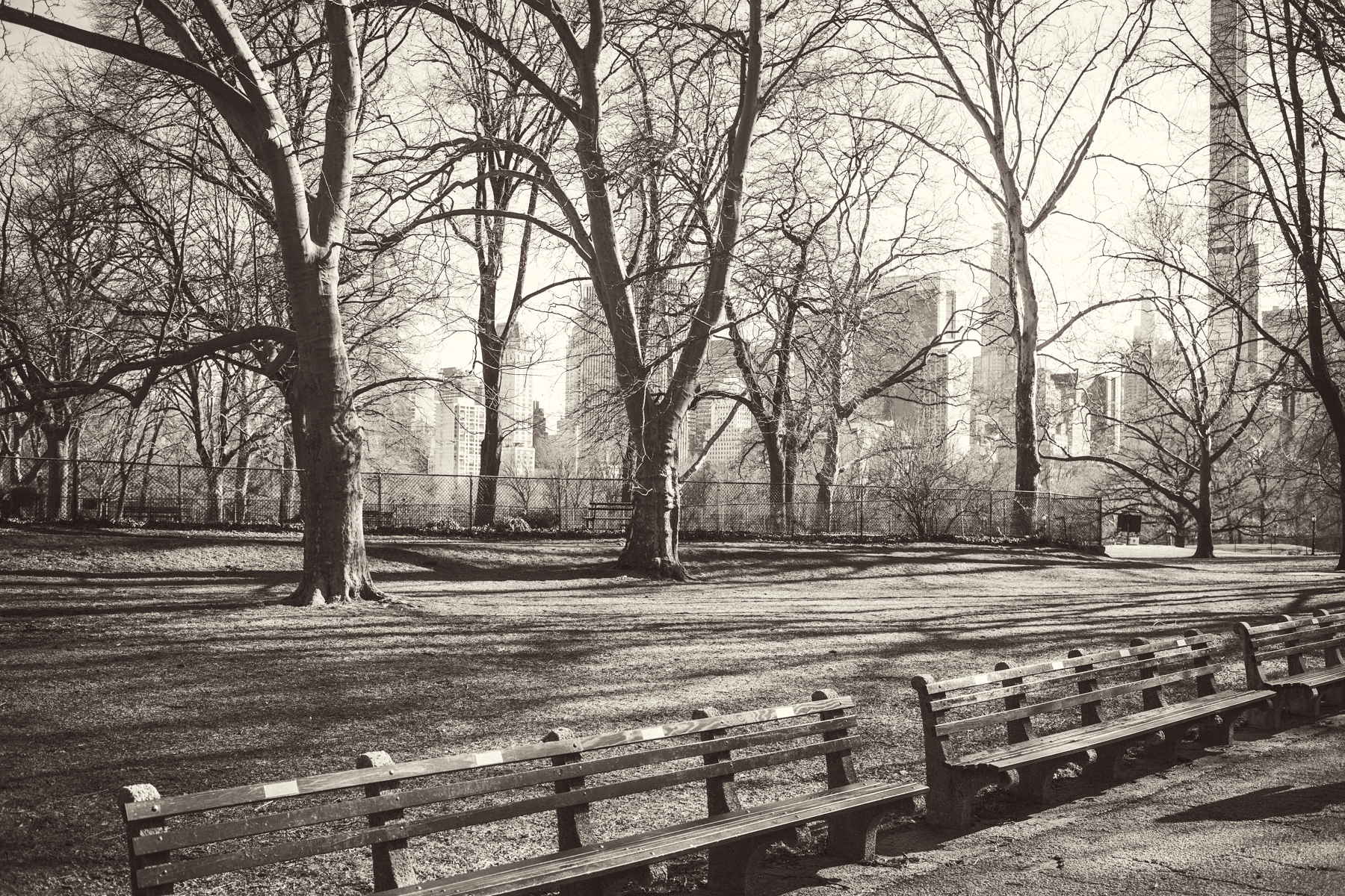 Travelling in NYC, by Federico Leone 08