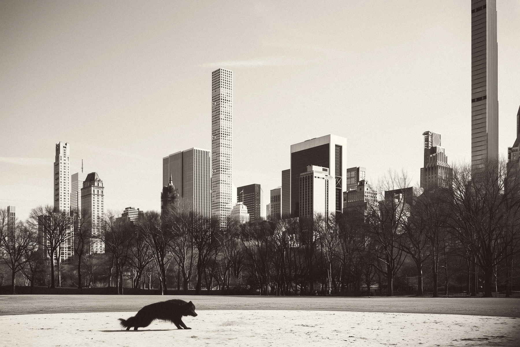 Travelling in NYC, by Federico Leone 06