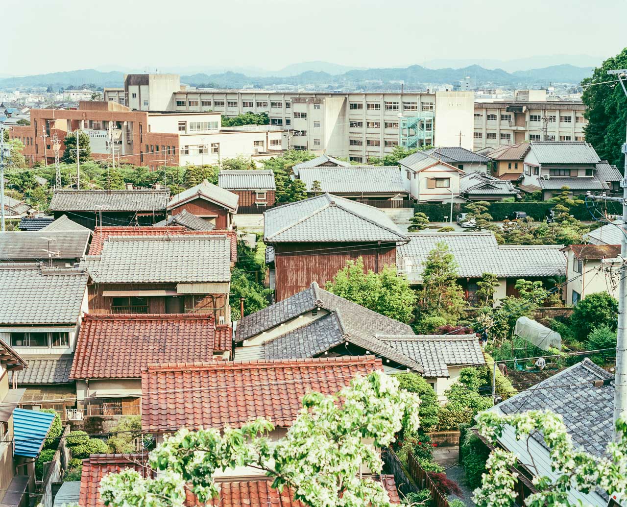 Japanese Students photography project by Federico Leone - Image 20