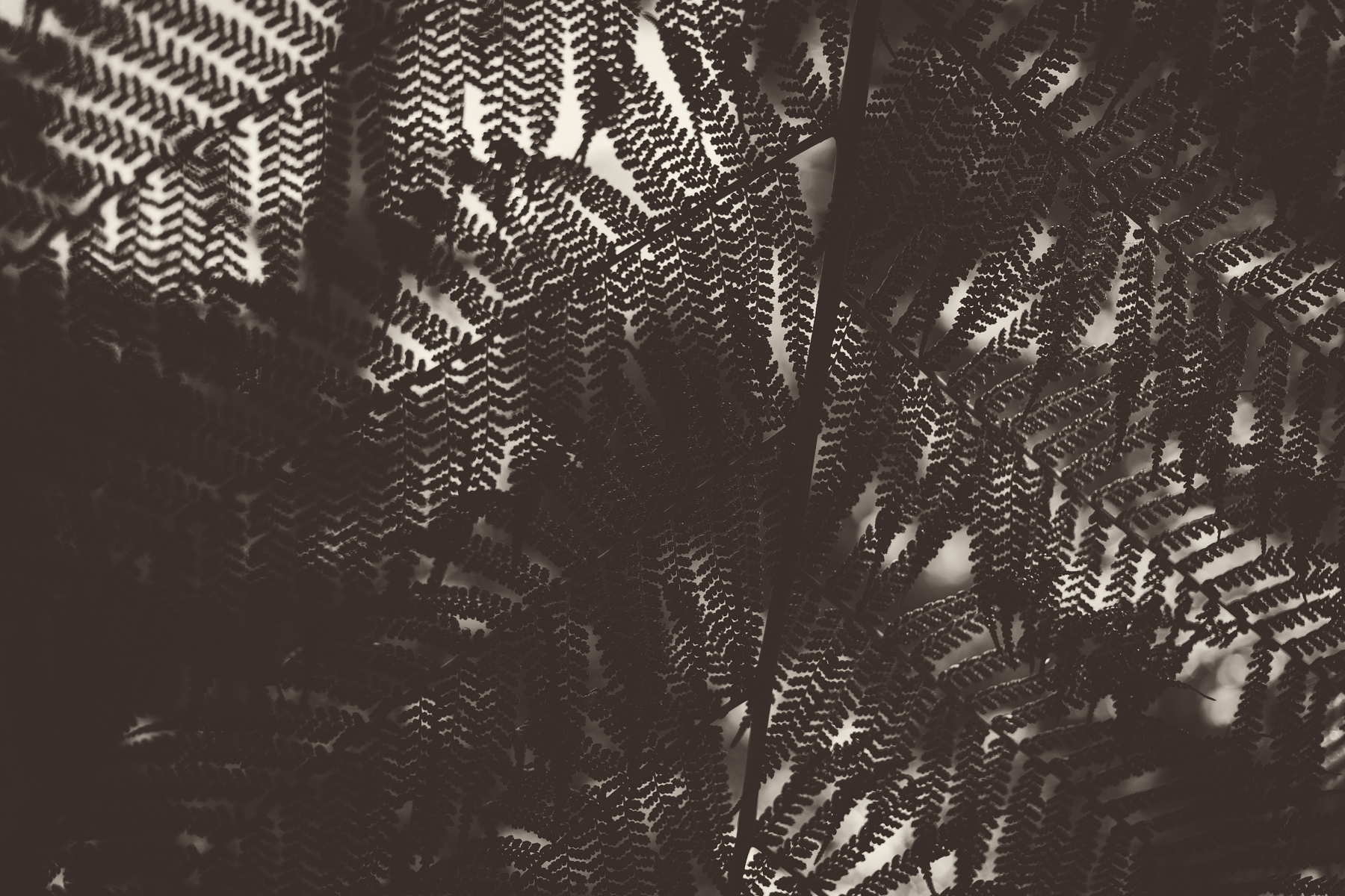 Random travelling pictures in Portugal by Federico Leone 03