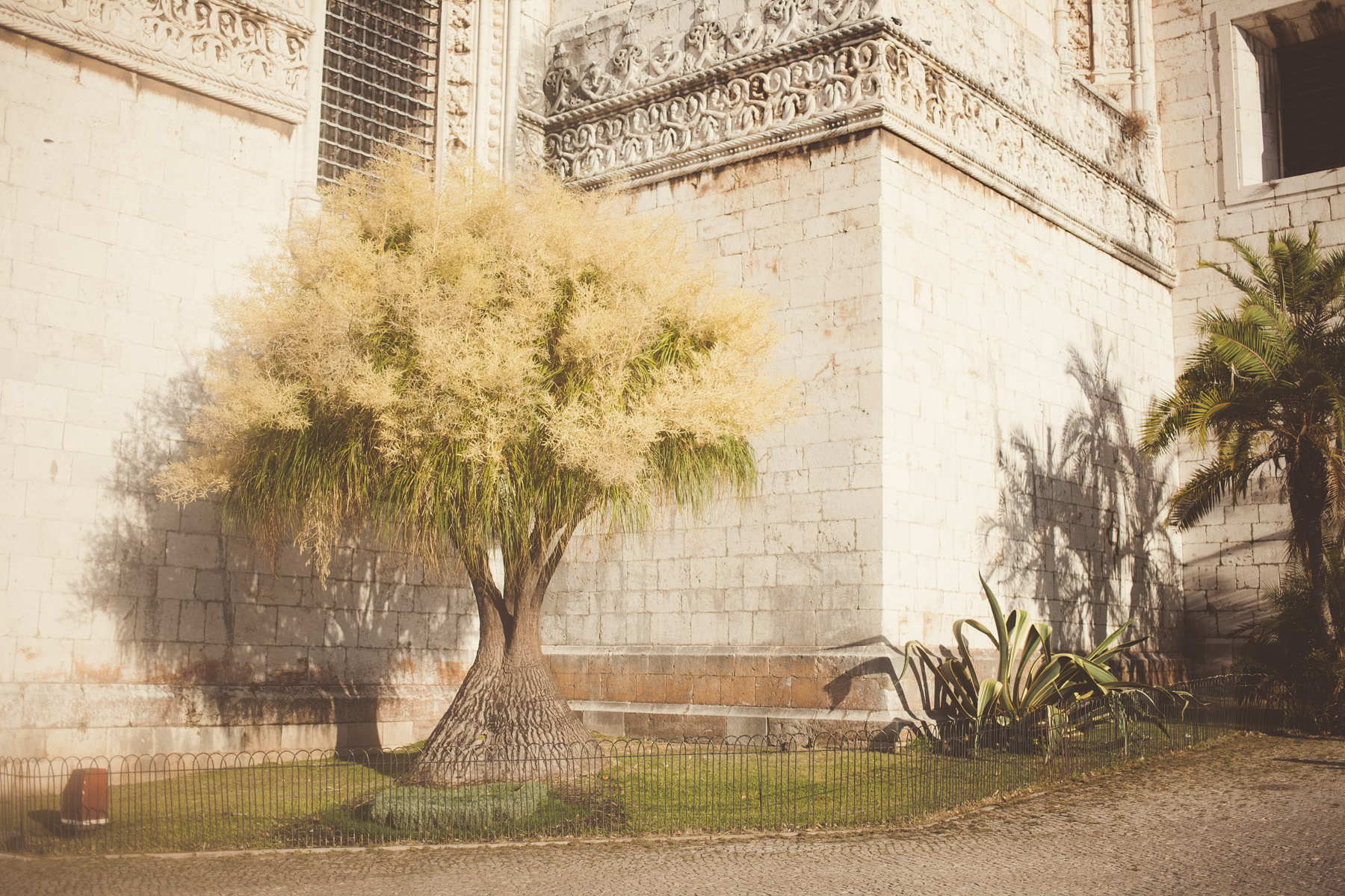 Random travelling pictures in Portugal by Federico Leone 03