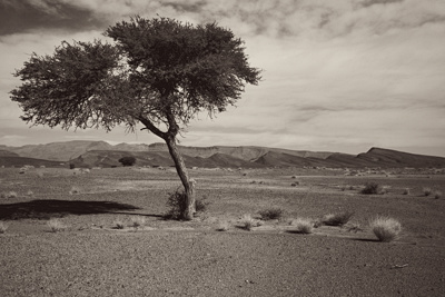 MOROCCO 2025 | Lost in Morocco, Travelling project by Federico Leone about Morocco